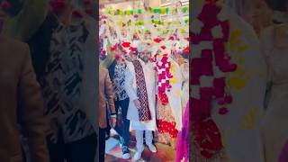 Ishaan Ali ki Dulhan🥰❤️ ​⁠ajazali11 ishaan shadi shorts [upl. by Laehplar66]