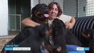 Eleveuse de chiens un métier exigeant mais exaltant [upl. by Olympium]