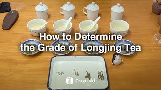 How to Choose Premium Longjing Tea 4 Easy Tips 🫖🍃 [upl. by Rochelle]