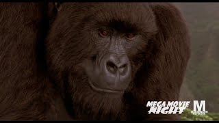 Mighty Joe Young  Maldonado Network Credits  MegaMovie Night [upl. by Annah]