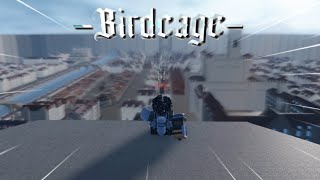 My First Month in Birdcage Birdcage [upl. by Descombes104]