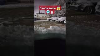 Canada 🌨️❄️❄️❄️❄️😱😱😱viralvideo ytshorts brother [upl. by Akihsal]