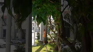 The Entrance at Hotel Riu Cancun  AllInclusive Resort in Cancun Mexico [upl. by Sedruol403]