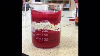 Exp 5 Gravimetric Determination of nickel using dimethylglyoxime [upl. by Mendelson]