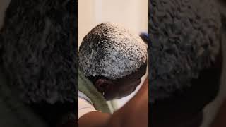 Wash and style method for 360 waves 360waves [upl. by Atisusej249]