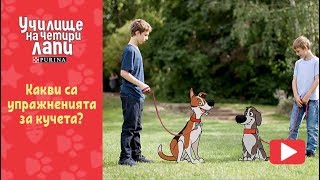 Какви са упражненията за кучета  PURINA® Училище на четири лапи [upl. by Melloney]