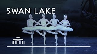 Dance of the little swans from Swan Lake  Dutch National Ballet [upl. by Polard]