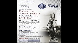 Seminario quotPerspectivas actuales sobre la Impugnación de Paternidadquot [upl. by Talbott112]