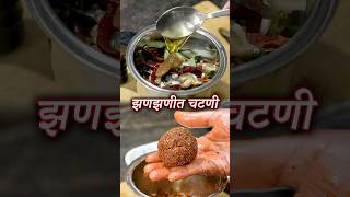 एकदा चटणी बनवुन पहा रोज जेवताणा हीच चटणी मागाल  Jhanjhanit Chutney  Latika Nimbalkar [upl. by Suiratnauq]