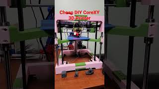 Cheap DIY CoreXY 3D Printer [upl. by Horodko420]