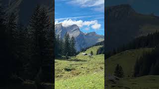 Oeschinensee  Kandersteg Switzerland ❤️ chill mountains shorts [upl. by Arualana623]