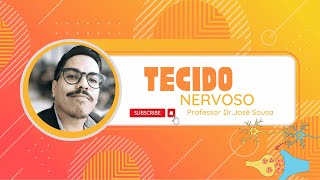 Tecido nervoso Histologia ensino superior Completo [upl. by Lainey]