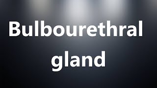 Bulbourethral gland  Medical Meaning [upl. by Gerk]