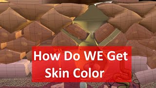 The Biology of Skin Color — HHMI BioInteractive Video [upl. by Lleda]