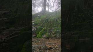 gunacave kodaikanal [upl. by Island]