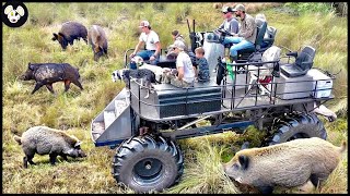 Why Wild Boar Are The Most Invasive Species In Canada  The Way Farmers Deal With Wild Boars [upl. by Acimot]