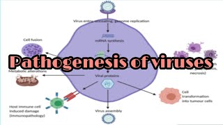 Pathogenesis of viruses [upl. by Lunsford270]