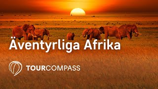 Ã„ventyrliga Afrika [upl. by Nera728]