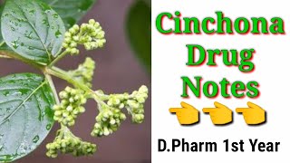 Cinchona drug pharmacypoints [upl. by Anat]