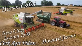 Harvest 2024  Howard Farms  New Class lexion 7500 Class lexion 650 Case Puma 225 [upl. by Llerrehc]