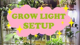 Grow Light Set Up [upl. by Eey]