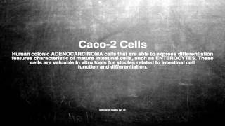 Medical vocabulary What does Caco2 Cells mean [upl. by Mirabel]