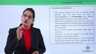 Class10th – Functions of Lipids  Bio Molecules – Lipids  Tutorials Point [upl. by Ingra]