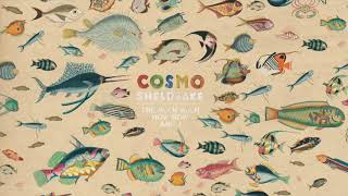 Cosmo Sheldrake  Run Rings Right Wrongs Instrumental [upl. by Sivartal]