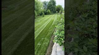 Sharpest Mower Lines 🔥 Exmark Lazer Z [upl. by Aselehc]