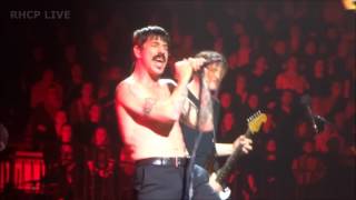 Red Hot Chili Peppers  Emit Remmus  Herning DK MultiCam [upl. by Lorn34]