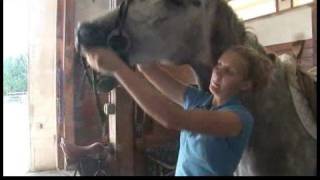 Horse Care amp Riding  How to Bridle a Horse [upl. by Annawit]