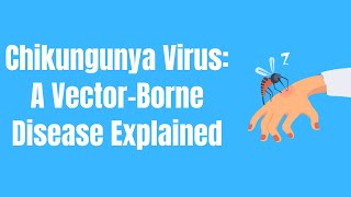 Chikungunya Virus A Vectorborne Disease Explained [upl. by Baynebridge383]