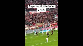 Bayer Leverkusen vs TSG Hoffenheim 21 amp 3032024 amp Bundesliga [upl. by Mariele102]