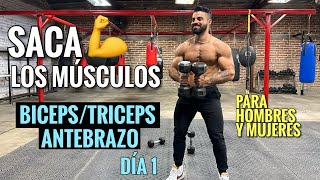 Rutina de BRAZOS entrena tus Bíceps Tríceps y Antebrazos 25 Min Ejercicios para SACAR LOS MUSCULOS [upl. by Masera833]