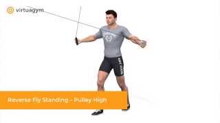 Reverse Fly Standing  Pulley High [upl. by Langsdon]