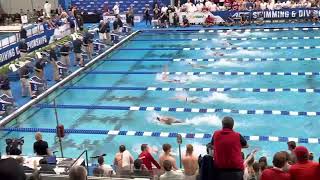 Fastest 50 Free In History Gretchen Walsh Takes Down NCAAUS Record  2023 ACC Championships [upl. by Alasdair193]