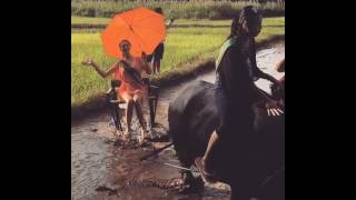 Miss Earth England 2016 LUISSA BURTON Riding a Carabao [upl. by Gilus]