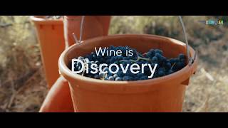 Wine is Discovery  Trailer [upl. by Marylinda542]