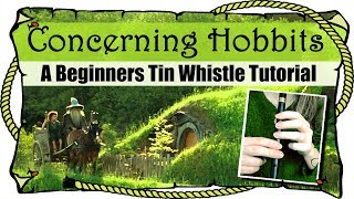 Lord Of The Rings  Concerning Hobbits  BEGINNERS TIN WHISTLE TUTORIAL [upl. by Jodi759]