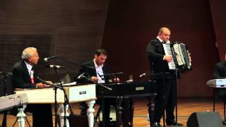 Nicolae Feraru and his Romanian Gypsy Band  quotHora lui Silequot feat Sile Dorel accordion [upl. by Notlew]