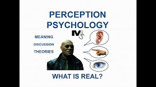 The Psychology of Perception  Simplest Explanation Ever [upl. by Alyek]