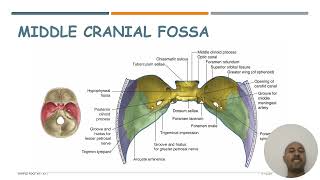 Base of the skull [upl. by Sreip]
