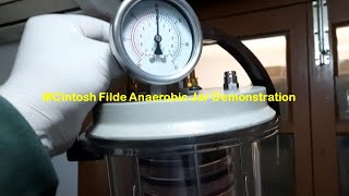 MCIntosh Filde Anaerobic Jar Demonstration [upl. by Attelra264]