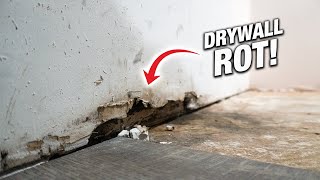 How To Fix Rotten Moldy Drywall From Water Damage DIY For Beginners [upl. by Dis607]