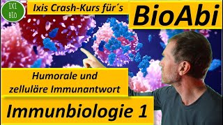 Immunbiologie 1 Humorale  zelluläre Immunantwort  Anwendungsaufgaben analysiert  Fit für´s BioAbi [upl. by Korry]