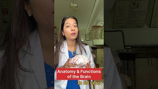 Anatomy amp Functions of the Brain 🧠 medicine neetpg neet brain neuroanatomy [upl. by Felicity]