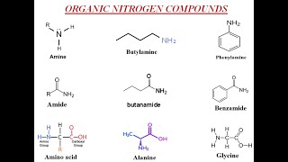 Amines Amides Amino acids Proteins  A2 Chemistry  Dr Hanaa Assil [upl. by Milurd]