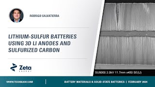 Zeta Energy Corporation  LithiumSulfur Batteries using 3D Li anodes and Sulfurized Carbon [upl. by Amitie]