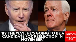 WATCH John Cornyn Accuses Biden Of Only Caring About Border Crisis Once It Affected Blue Cities [upl. by Nyvar169]