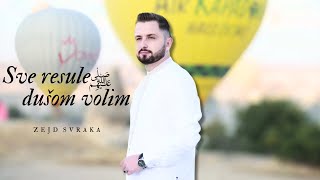 ® Zejd Svraka – SVE RESULE DUŠOM VOLIM  official video NOVO © 2023 [upl. by Checani860]